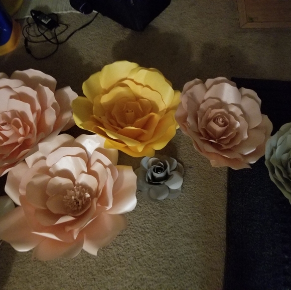 Meet your Posher, Karmin - Picture 2 of 2